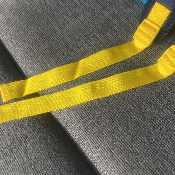 Disneyland “Play in the Park” Backpack - Picture 5 of 7